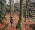 hiking in forest