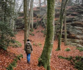 hiking in forest