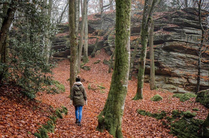 hiking in forest