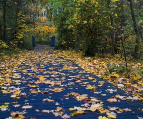 autumn walk